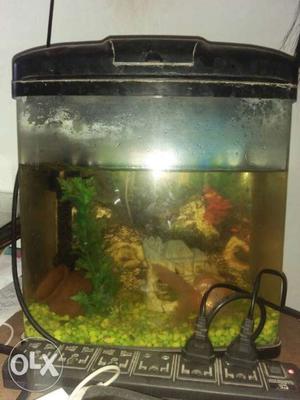 Sell my all aquariums toys filters stone etc shop