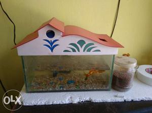 Small aquarium along with fishes and food
