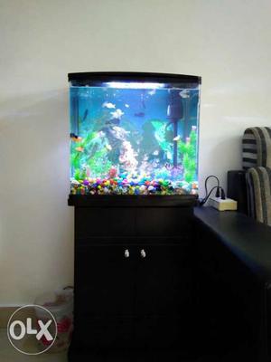 Very stylish look fish aquarium tank