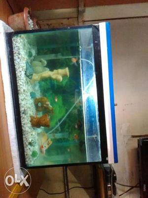Want to sale aquarium,ground filter and light.