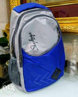 Blue And Gray Skybags Backpack