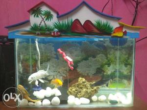 Fish tank  for sell