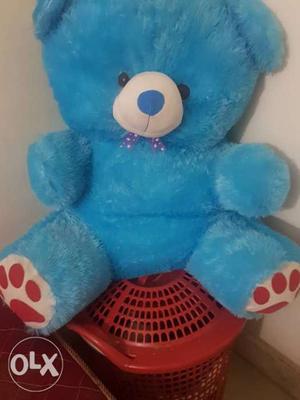 New bear its big one and nice urgent sell call me