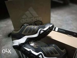 Pair Of Black-and-green Adidas Running Shoes With Box