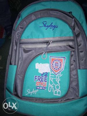 Teal And Gray Skybags Backpack