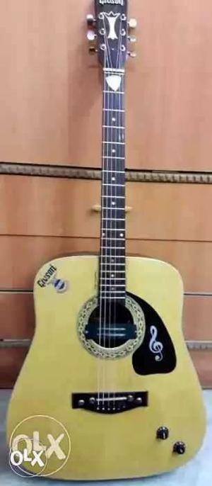 4 month old jambo gitar electric + acoustic..