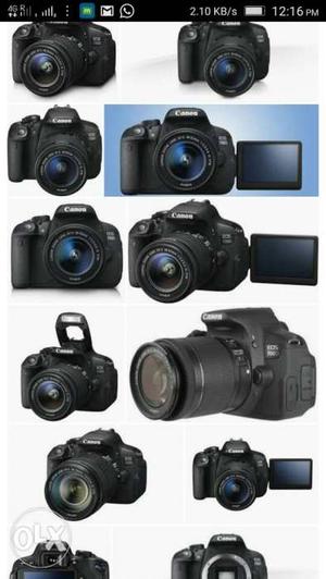 Anyone who wants DSLR on rent on perday basis