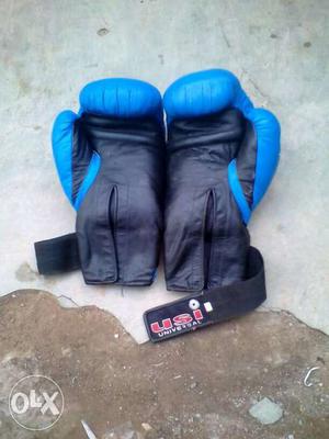 Black-and-blue Usi Universal Boxing Gloves