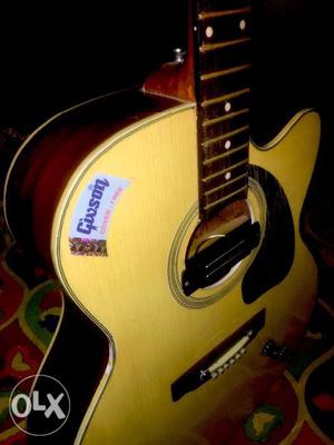 Givson Venus RoseWood Semi Acoustic Guitar (With