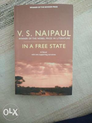 In a free state V.S Naipaul novel