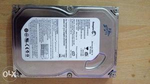 Internal hard-disk 160 GB(Seagate)
