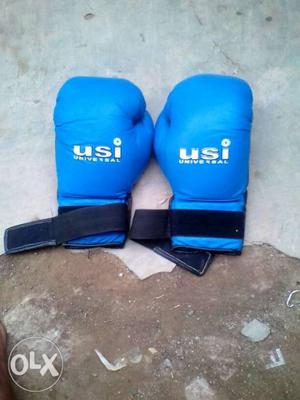 Pair Of Blue-and-black USI Training Gloves