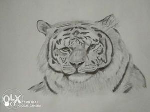 Pencil shading art - Tiger with frame and lamination.