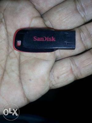 SanDisk Cruiser Blade Flash Drive 16 GB