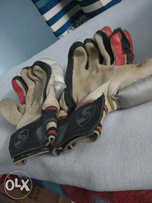 Sg batting gloves not in a good condition but good