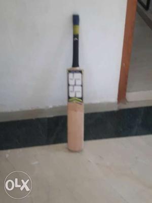 Ss super power bat. kashmir willow. bought it for 