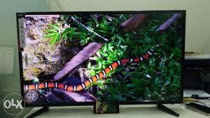 Ultra Smooth Motion 32" Android Led Tv Samsung Panel with