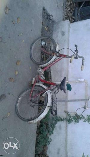 Cycle for kids