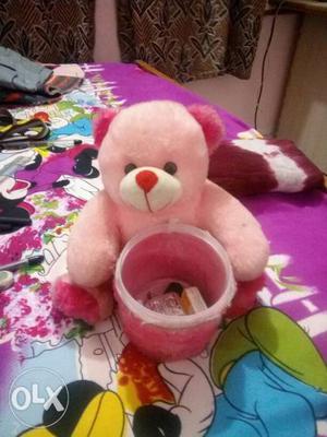 Pink And Red Teddy Bear