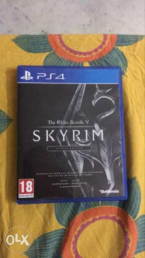 Skyrim PS4 Game
