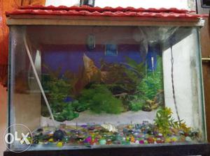 1.5 feet fish tank with stones,tree and oxygen machine