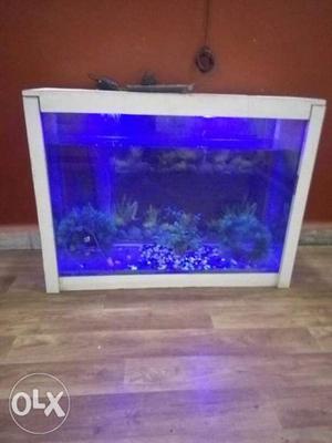 3 ft by 3.5 ft fish aquarium