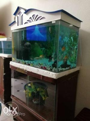 30"x15" in size aquarium with stand and all the