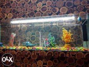 8 feet aquariam