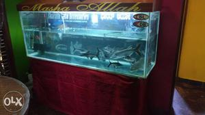 A aquarium for sale with very good condition