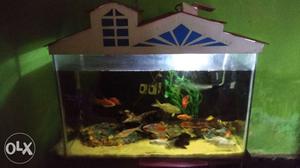 Aquarium 2ft, with top cover and 2 decorative