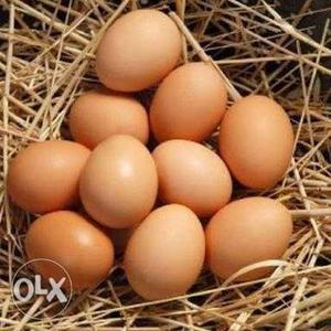 Desi eggs direct from farms 100% guranteed desi