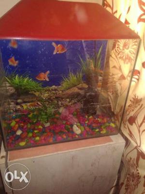Fish Aquarium for sale with oxygen motor and all