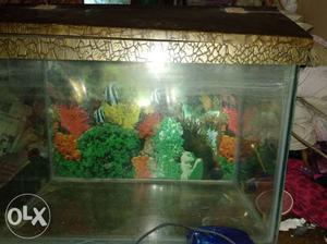 Fish tang with full set of oxygen machine