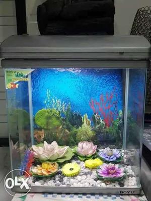 Fish tank 1.5ft with decoration