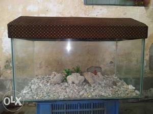 Fish tank 30x15x15 inch with ollston.beutiful top