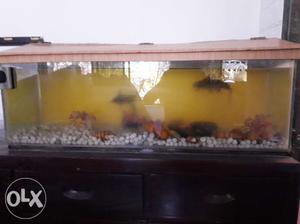 Fish tank. Length 36 inches height 12 inches