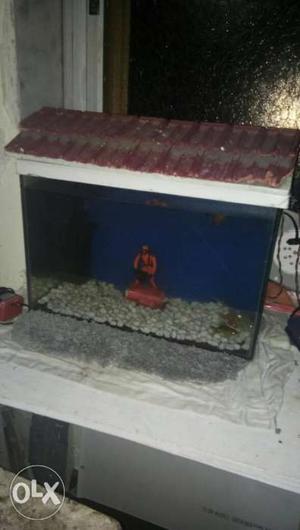 Fish tank with gold and silver fishes, snails,