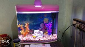 Full automatic Fish Aquarium With inbuilt Light