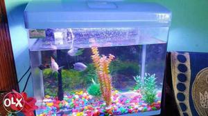 Good aquarium we r giving with fish and stone and