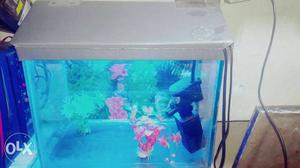 I won't to sell my fish tank. 1f size mini tank