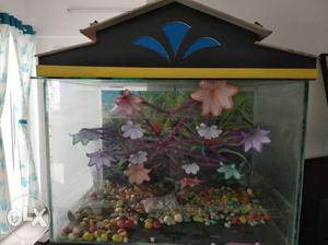 Pet Fish Tank
