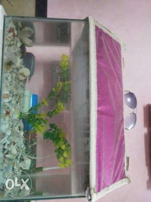 Pink And White Framed Pet Tank