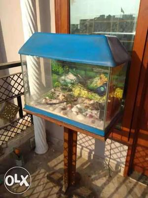 Rectangular Fish Tank With Blue Frames