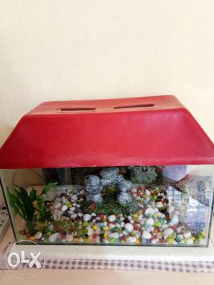 Rectangular Fish Tank With Red Frame