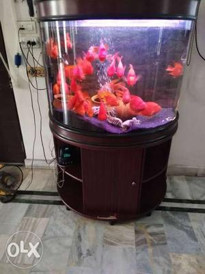 Round Brown Wooden Framed Fish Tank