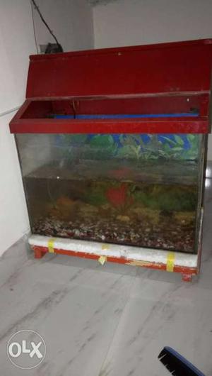 Sell my fish tank urgent. price not negosiabel