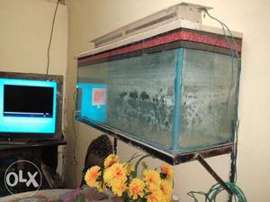 Size 3x2 Aquarium very good condition Use only 6