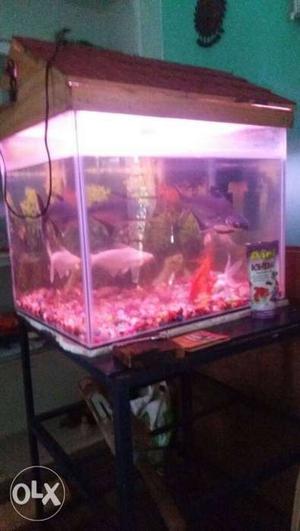 This stand 4f, fish aquarium 3*3