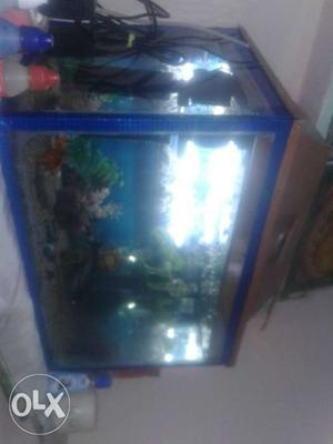 Urgent sale 1 by 1.5 ft aquarium.with filter and