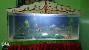 White And Green Framed Fish Tank